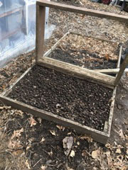 seed bed